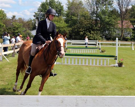 horseshowsonline|EMMA .